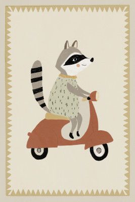 Drivingraccoon