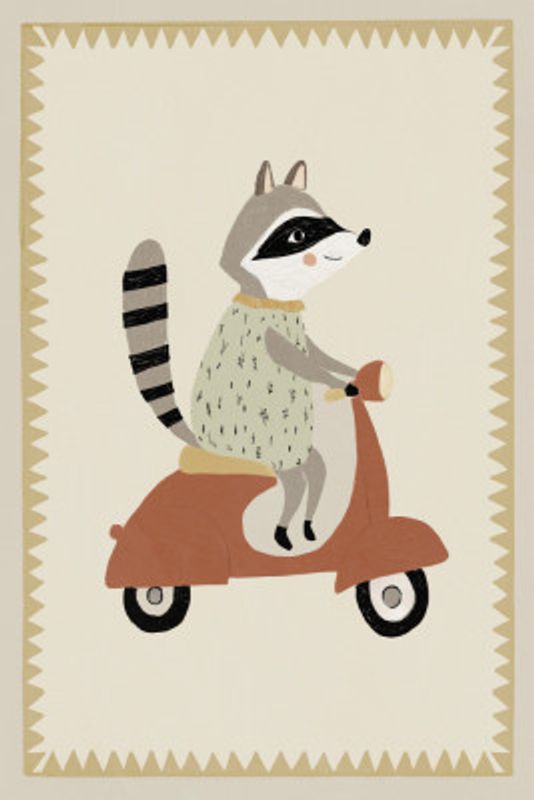 Drivingraccoon