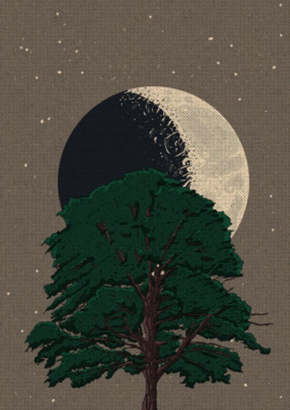 Moonlight Tree