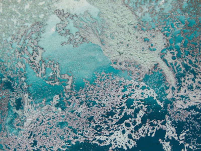 Relief of the Sea - Tranquil