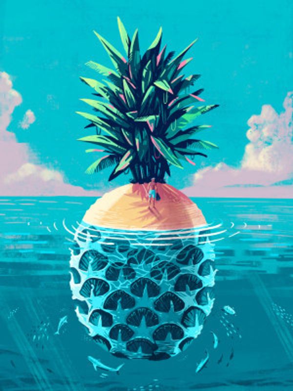 Stranded On Pineapple Island
