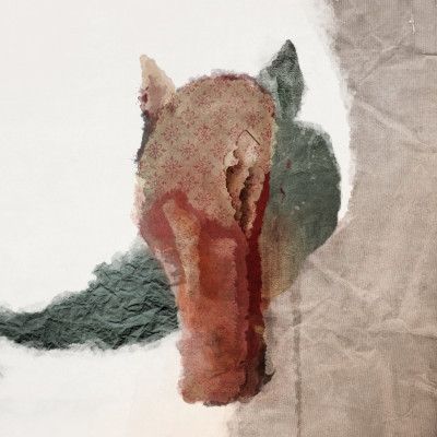 Abstract Horsehead