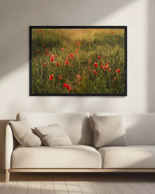 Poppy World II