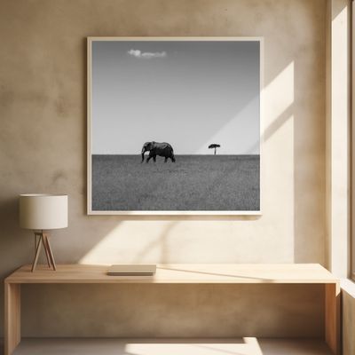 Elephant and the friendly cloud...