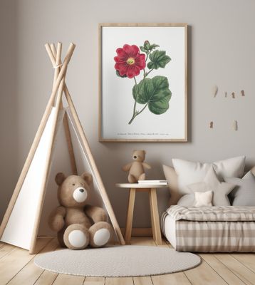 Alcea Rosea 1815   Flower Garden Displayed By Francis Sansom