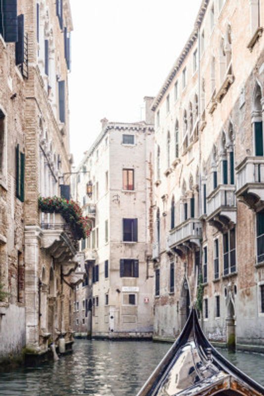 Venicegondolaii Ratio2x3