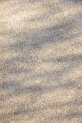 Sunlight Shadow Play