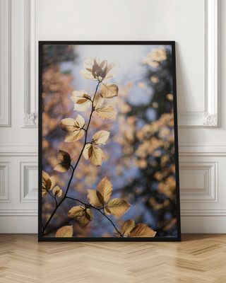 Golden Autumn Leaves