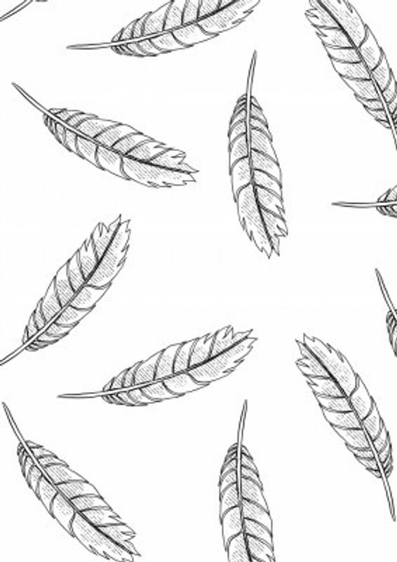 Feather Pattern
