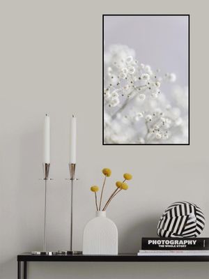 White Breath Flowers