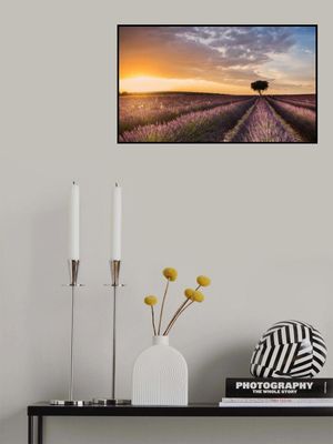 DESTINATION LAVENDER