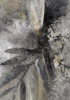 Dark Nature Abstract