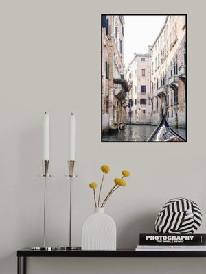 Venicegondolaii Ratio2x3