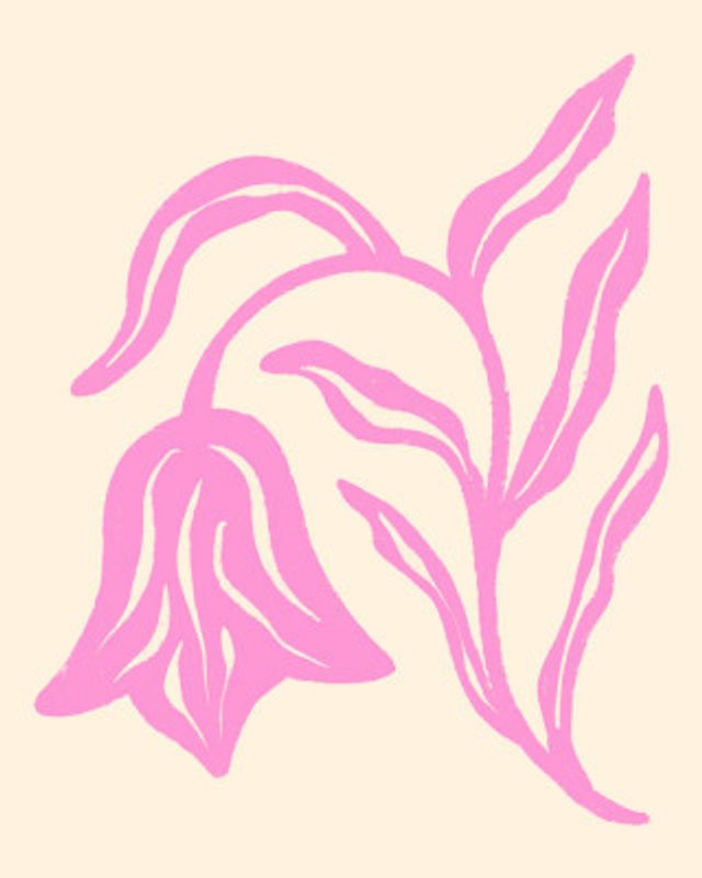 Stylized Pink Tulip  And Leaves