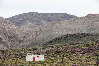 White House With A Red Door