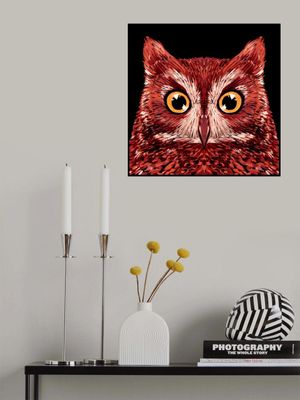 Bird Series   Owl 3