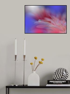 Colorful Explosion...