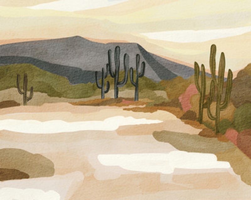 Rocky hill and Cactus