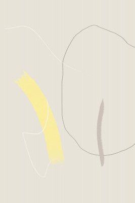 Delicate Lines And Gentle Curves