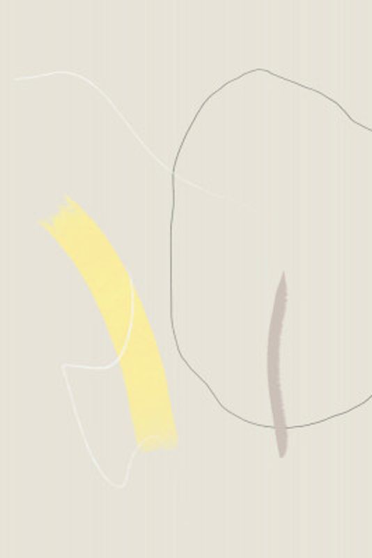 Delicate Lines And Gentle Curves