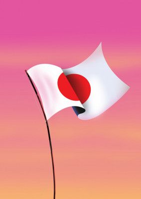 The Japanese Flag