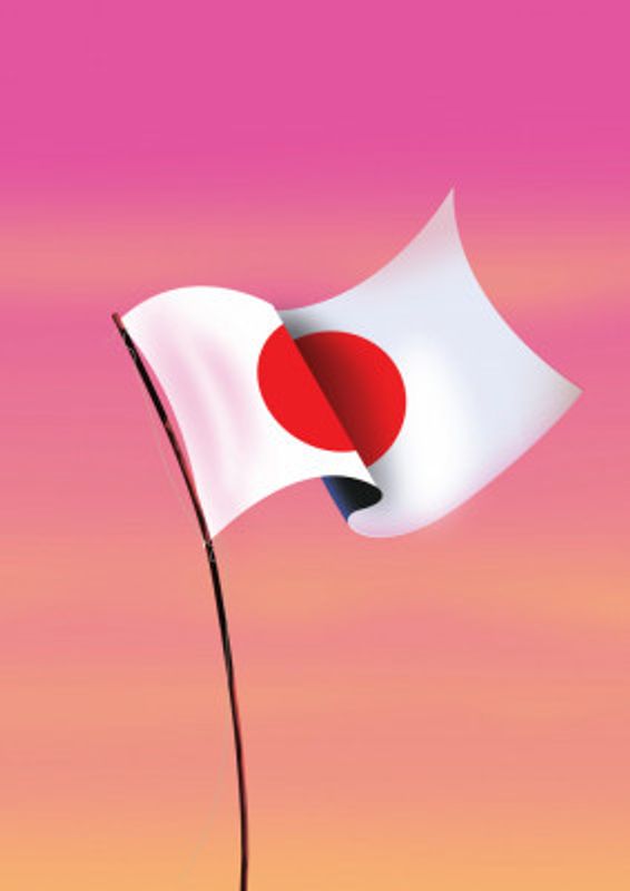 The Japanese Flag