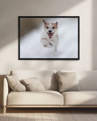 Playing in the snow#1