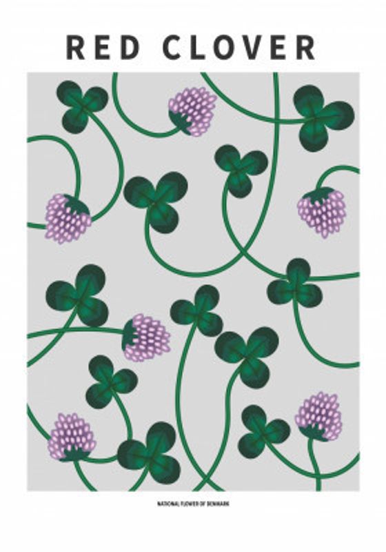 Red Clover - National flower of Denmark