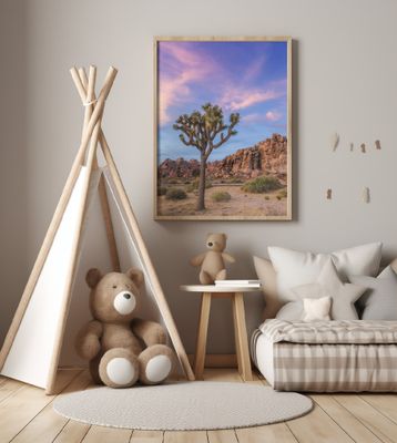 Joshua Tree Evening Atmosphere