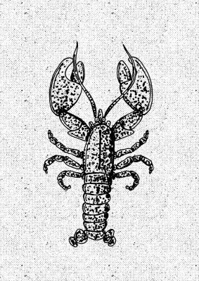 Lobster Ink Print