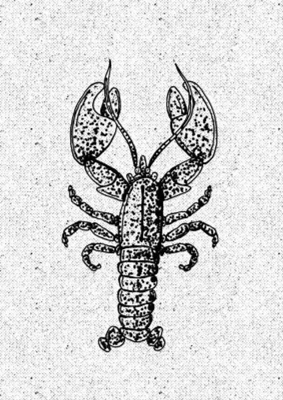 Lobster Ink Print