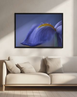 Spring is just around the corner