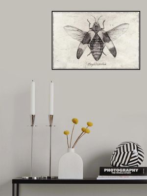 Intricate Insect Sketch