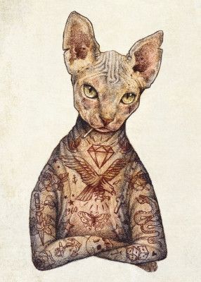 Stylish Tattoo Cat