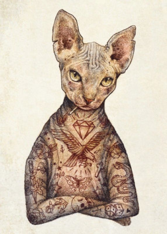 Stylish Tattoo Cat