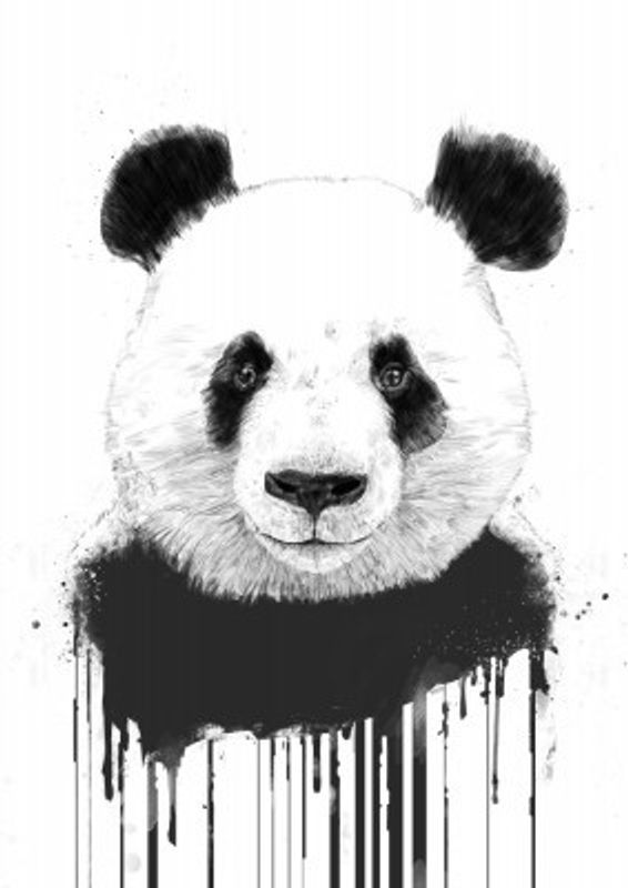 Graffiti panda