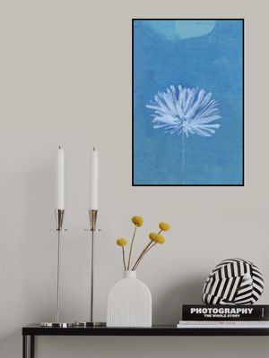 White Flower On Blue Background