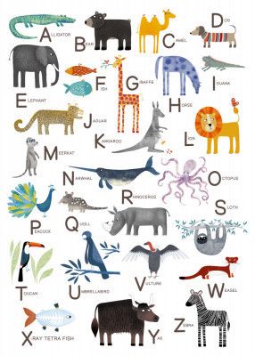 Animal Alphabet ABC