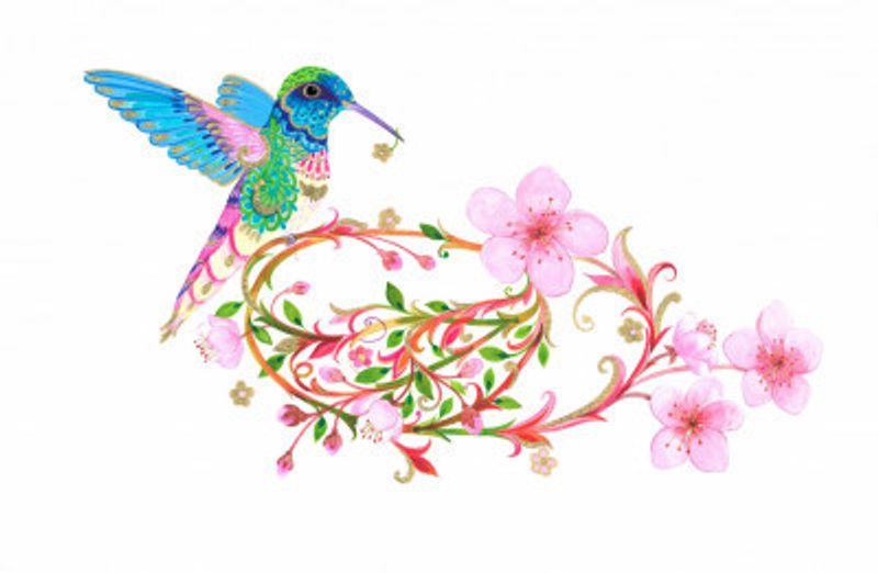 Hummingbird and Blossom Nest