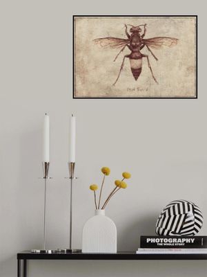 Illustration Of A Vespa Tropica