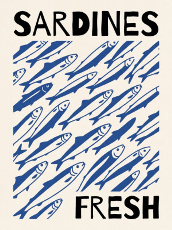 Sardines Fresh