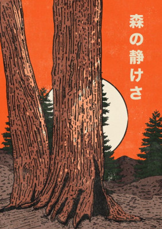 The Calm of the Forest