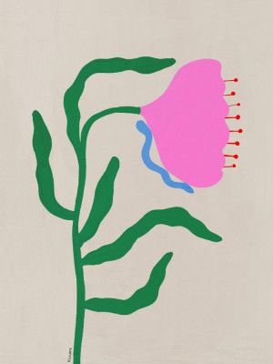 Pink Tulip With Green Leaves