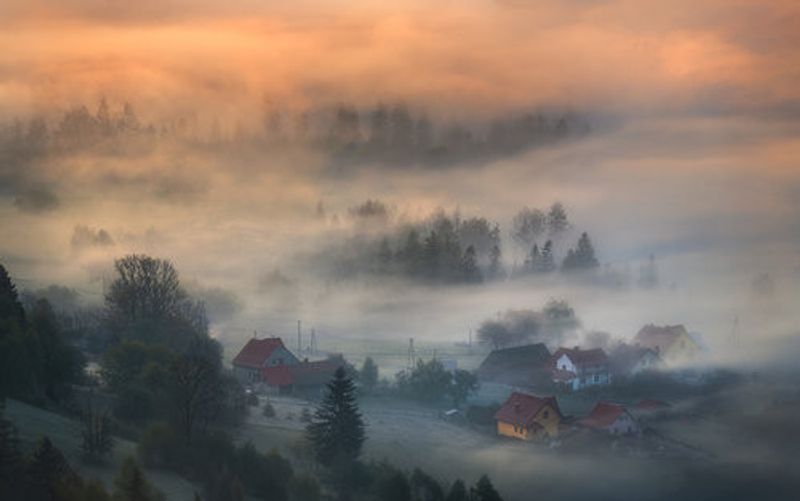 Misty morning