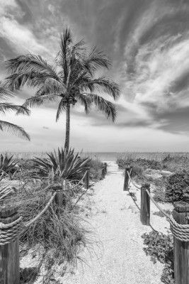 Path to the beach - monochrome