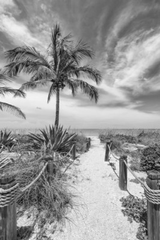 Path to the beach - monochrome