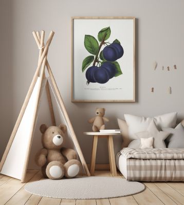 Niagara Plum Lithograph