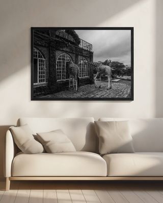 Early morning visitors