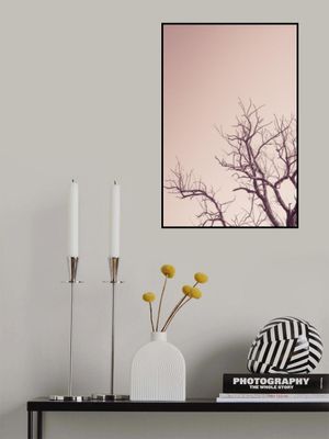 Winter Tree And A Pink Sky