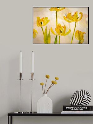 Flowering tulips